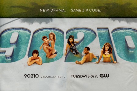 90210-PINSEL-2-450x299