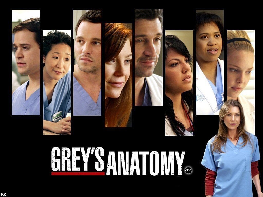 grey-s-anatomy-greys-anatomy-1663492-1024-768-grey-s-anatomy-sons-of-anarchy-doctor-who-Riger-weeds-5-tv-shows-to-binge-watch-jpeg-50422