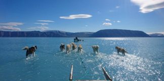 格陵兰岛冰融化