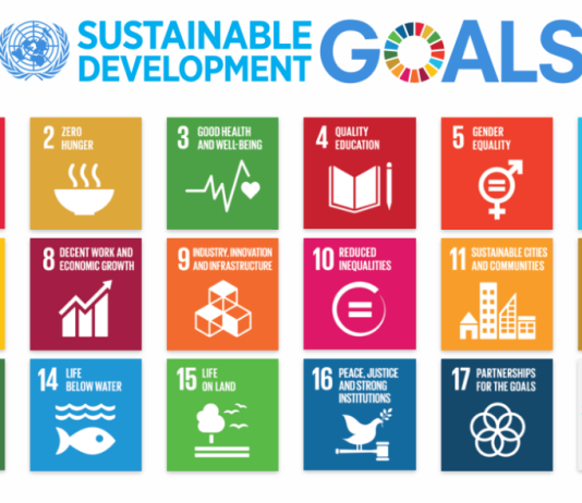 India's SDG