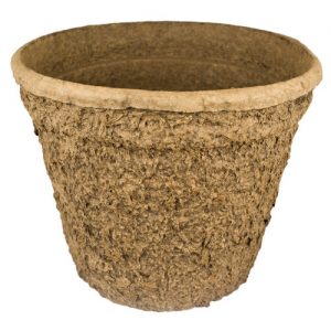 biodegradable pulp pots (CC)